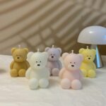 OSO TEDDY RECORDATORIO